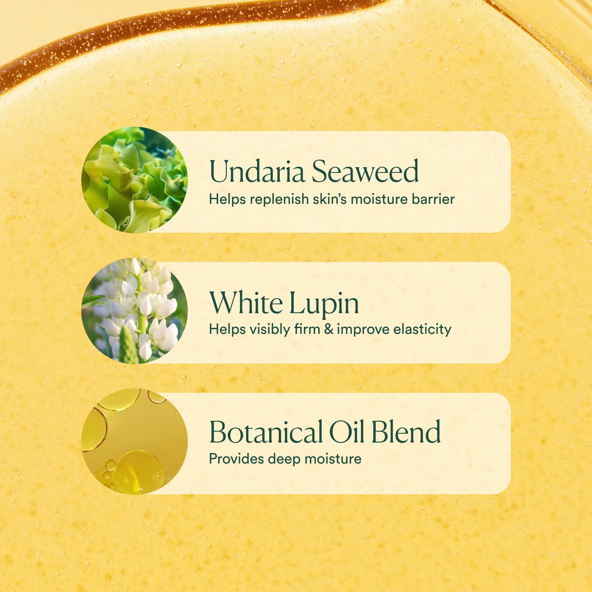 Damp skin application showing moisture-locking technique with OSEA oil.