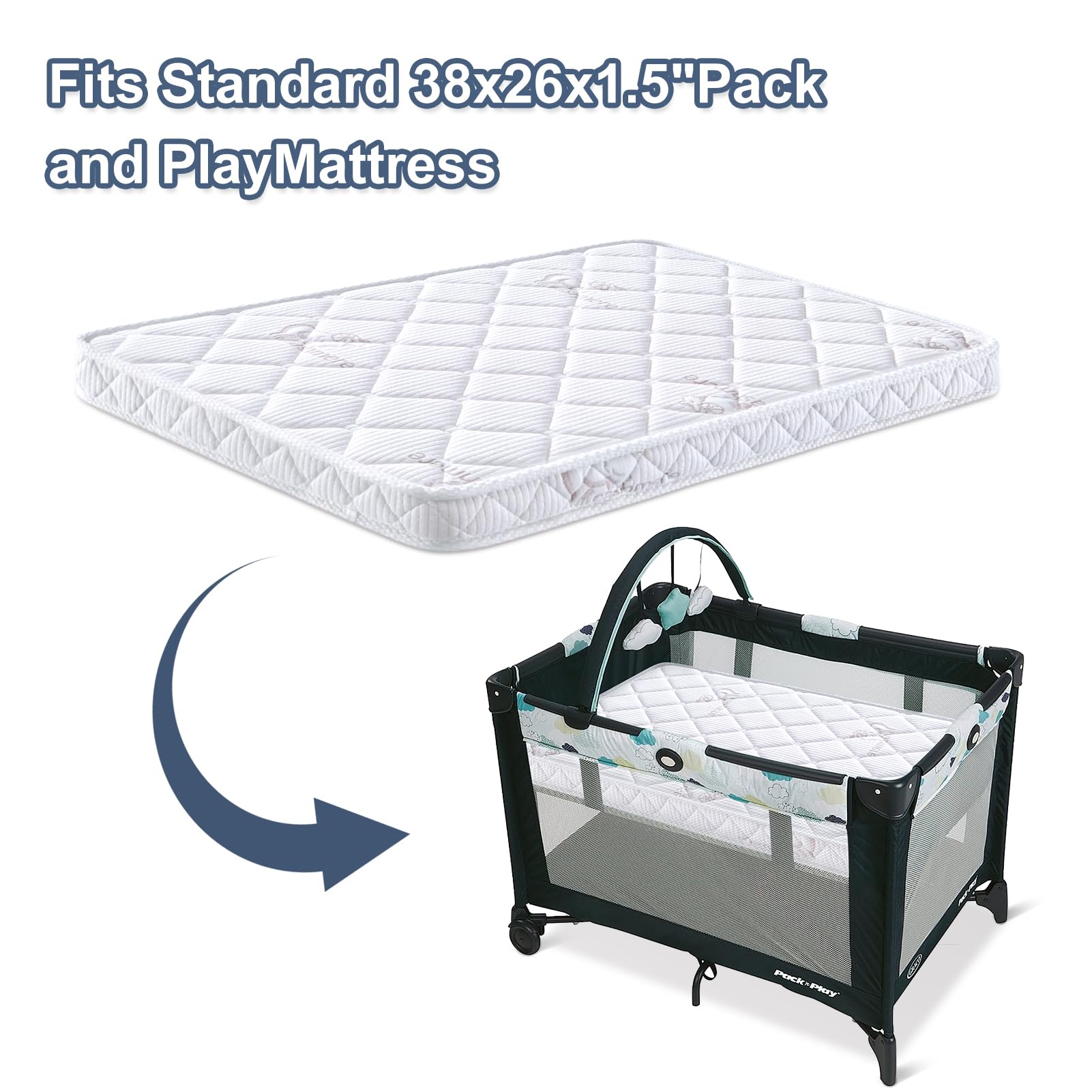 OSSERTSbearY lightweight 4 lb design for easy travel