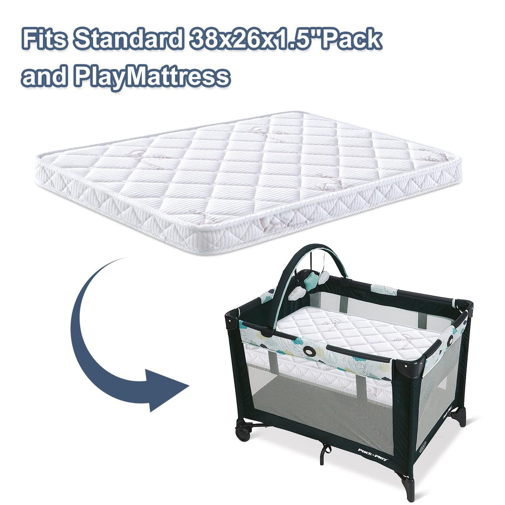 OSSERTSbearY lightweight 4 lb design for easy travel