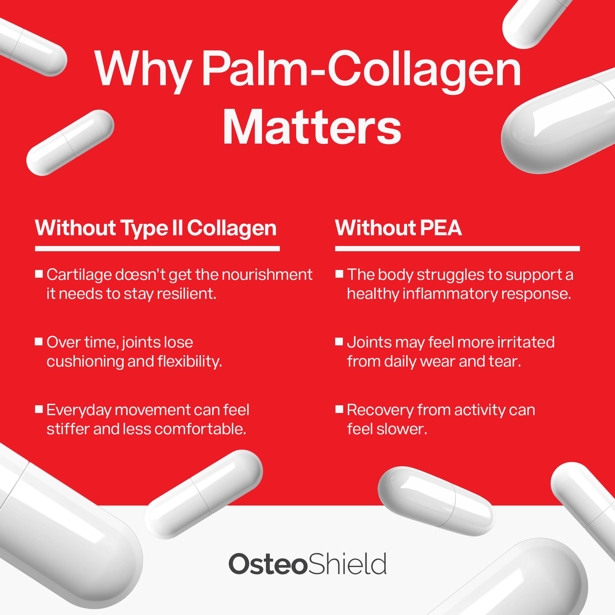 OsteoShield type II collagen image emphasizing cartilage nourishment