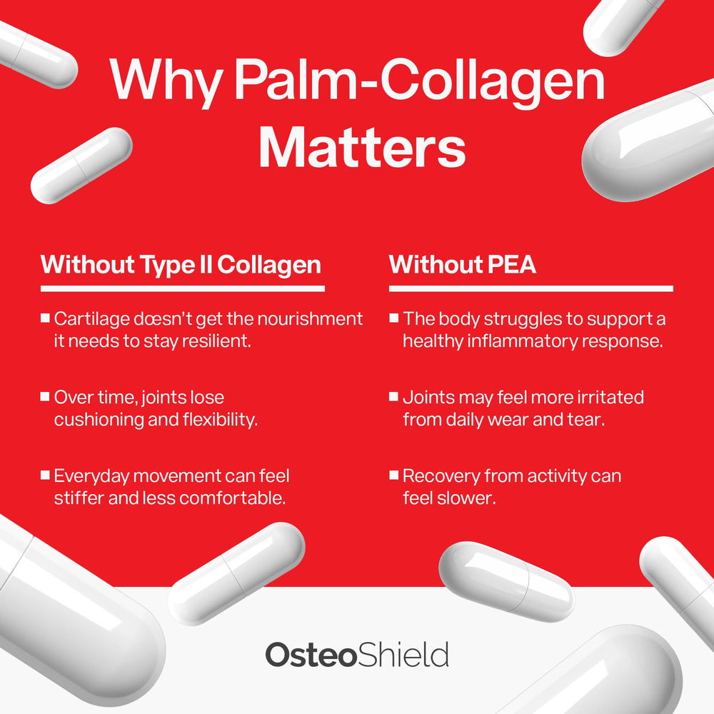 OsteoShield type II collagen image emphasizing cartilage nourishment