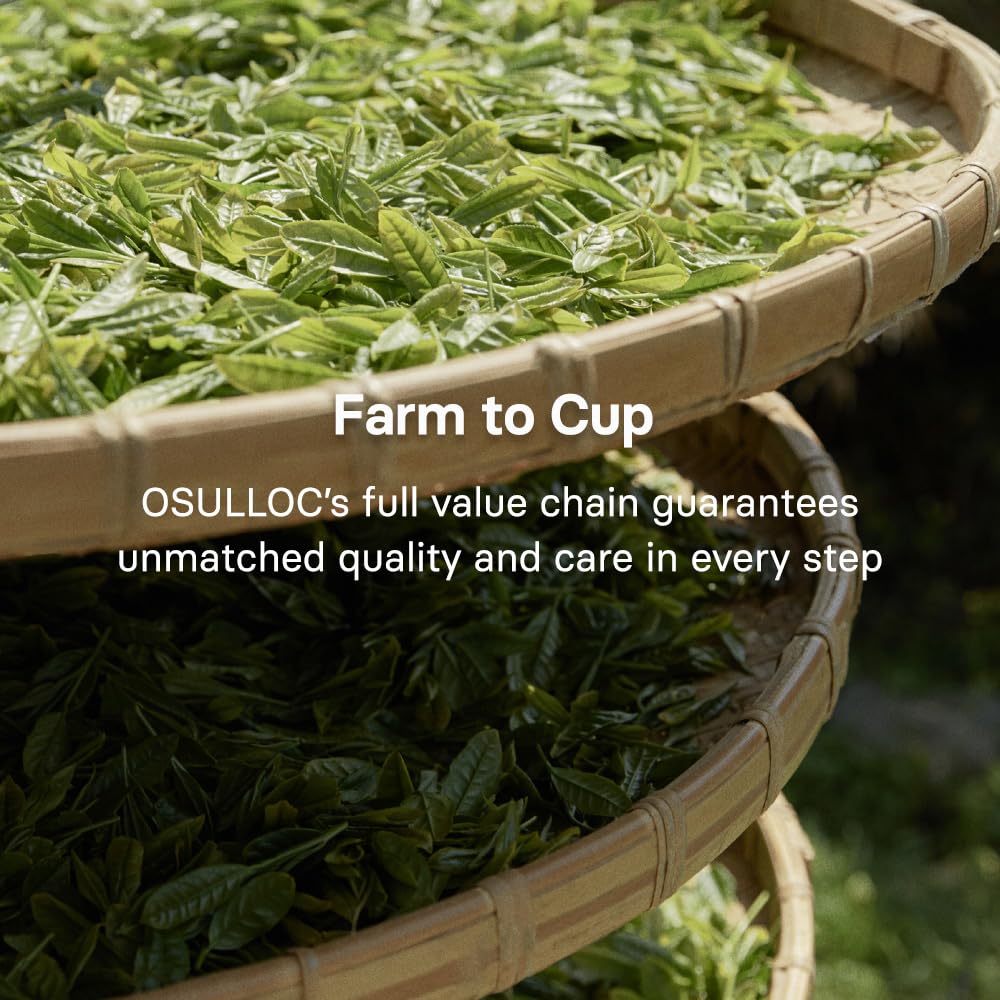 OSULLOC green tea powder being whisked, ideal for traditional ceremonies