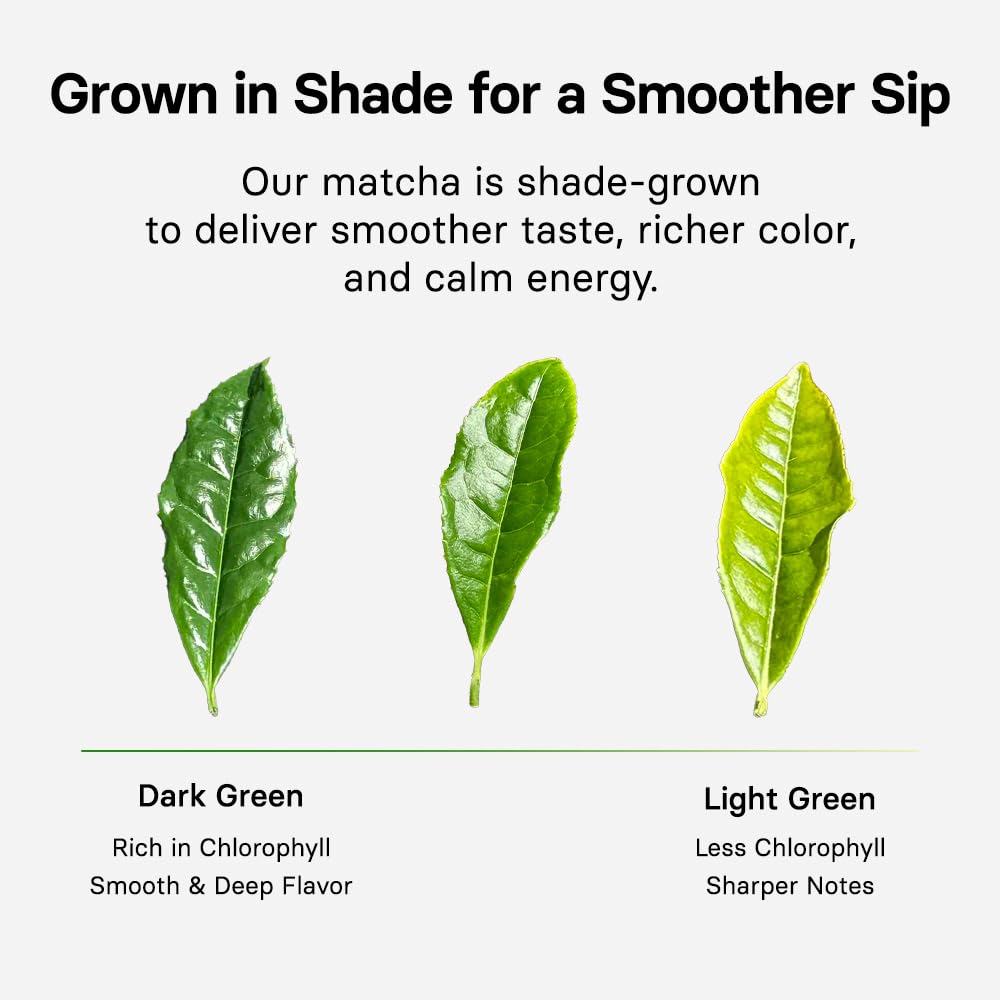 OSULLOC premium matcha tin packaging, shelf-ready and transport-friendly