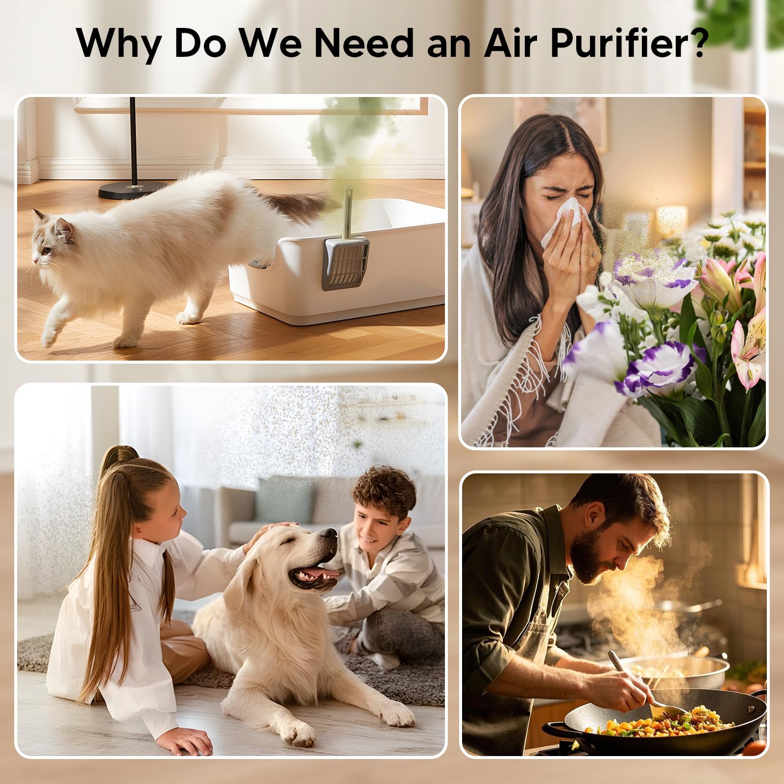 Oterbear pet odor adsorption feature demonstrates odor control benefits.