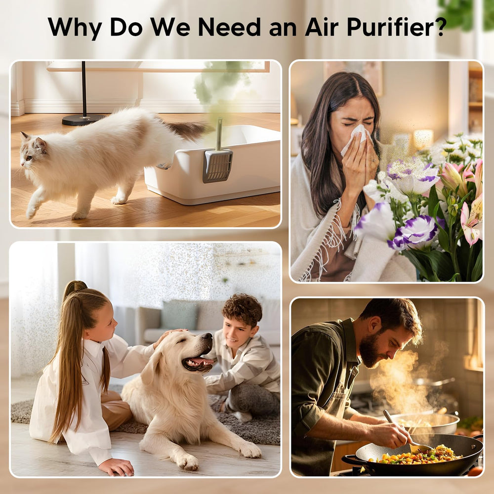 Oterbear pet odor adsorption feature demonstrates odor control benefits.