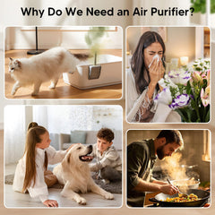 Oterbear pet odor adsorption feature demonstrates odor control benefits.