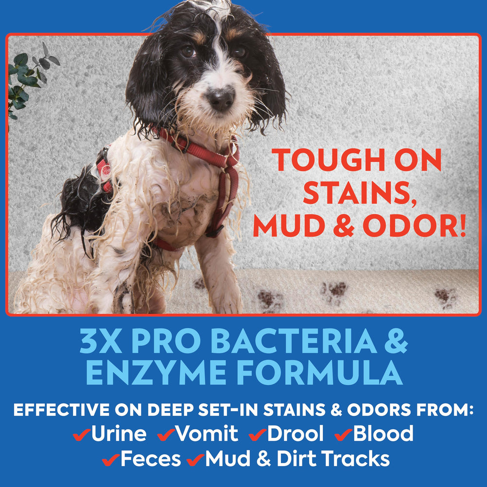 OUT! PetCare carpet and upholstery cleaner freshens rugs, couches, and bedding