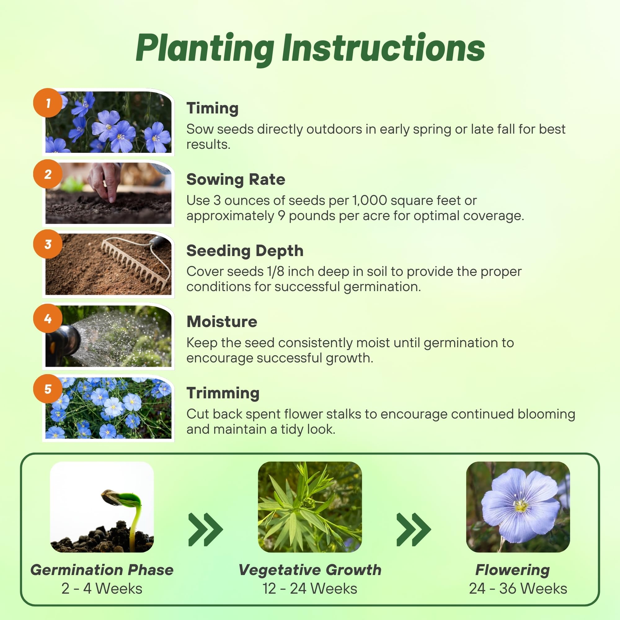 Outsidepride Blue Flax Seeds border display creates naturalized garden borders.