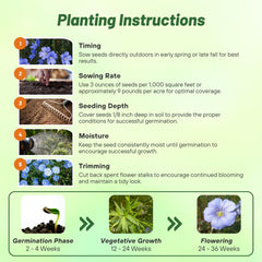 Outsidepride Blue Flax Seeds border display creates naturalized garden borders.