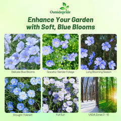 Outsidepride Blue Flax Seeds compact growth supports dense border plantings.