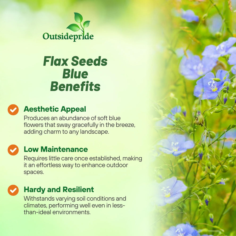 Outsidepride Blue Flax Seeds meadow display attracts pollinators.