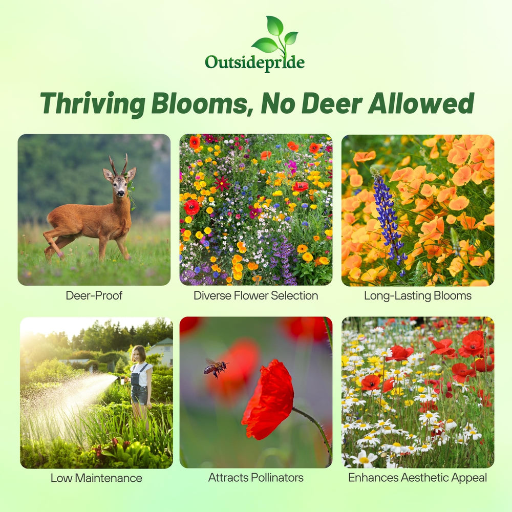 Outsidepride deer-proof mix thriving in partial shade with tall blossoms.
