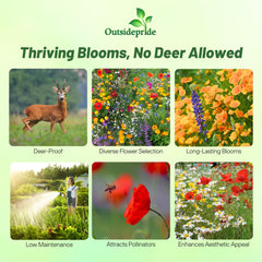 Outsidepride deer-proof mix thriving in partial shade with tall blossoms.