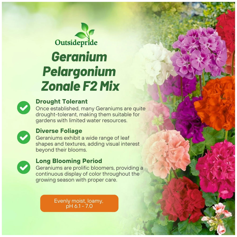 Outsidepride geranium seedlings show rapid growth for early-season color