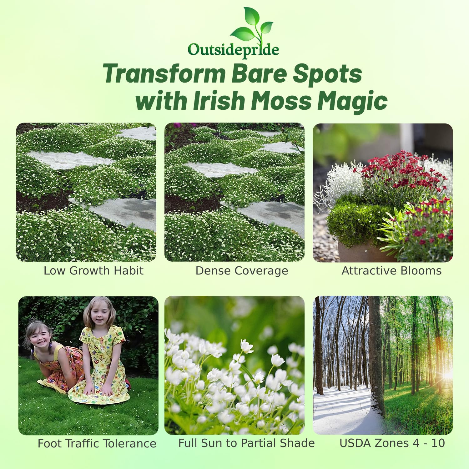 Outsidepride Irish Moss ground cover mat forming a soft mossy carpet