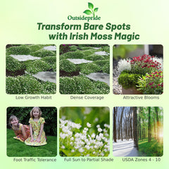 Outsidepride Irish Moss ground cover mat forming a soft mossy carpet