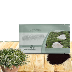 Outsidepride Irish Moss seed packet close-up showing abundant seeds for lawn alternative