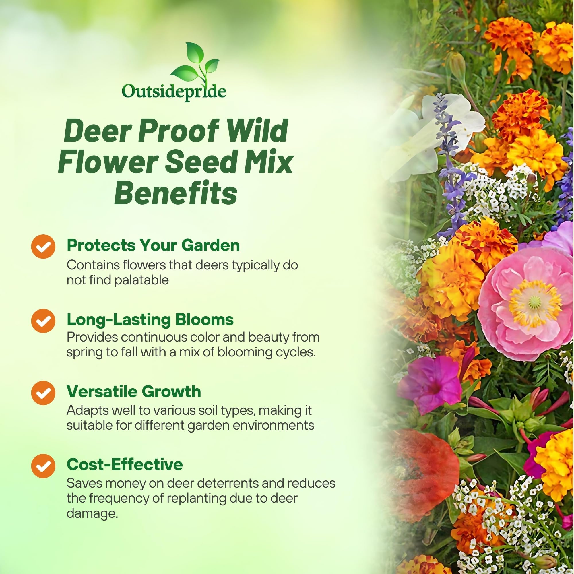 Outsidepride pollinator-friendly wildflowers inviting butterflies and bees to visit.