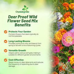 Outsidepride pollinator-friendly wildflowers inviting butterflies and bees to visit.