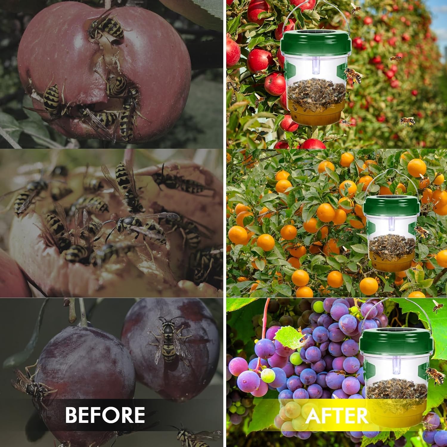 Outtkitywi 3-pack delivers value for larger gardens and events.