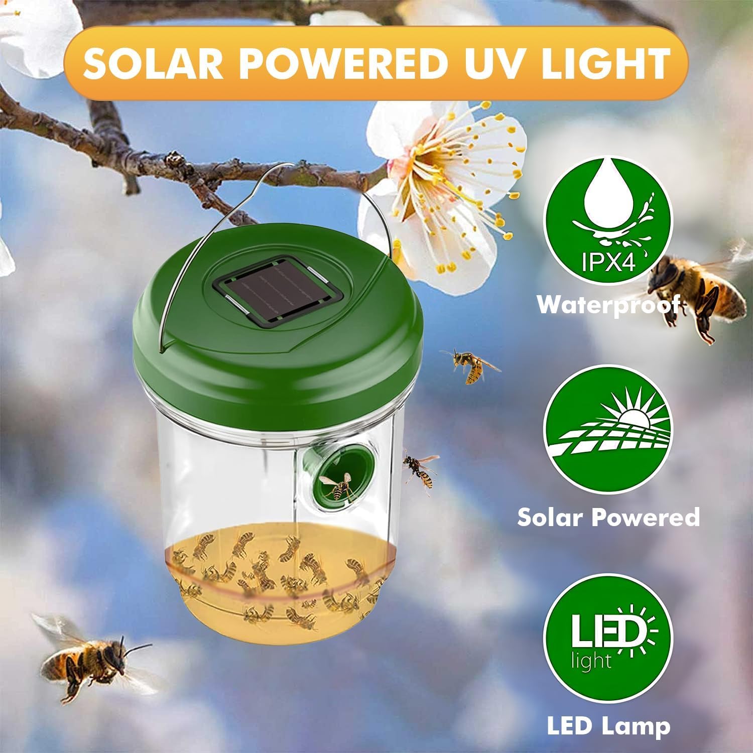 Outtkitywi blue ultraviolet light guides pests to the trap at dusk.