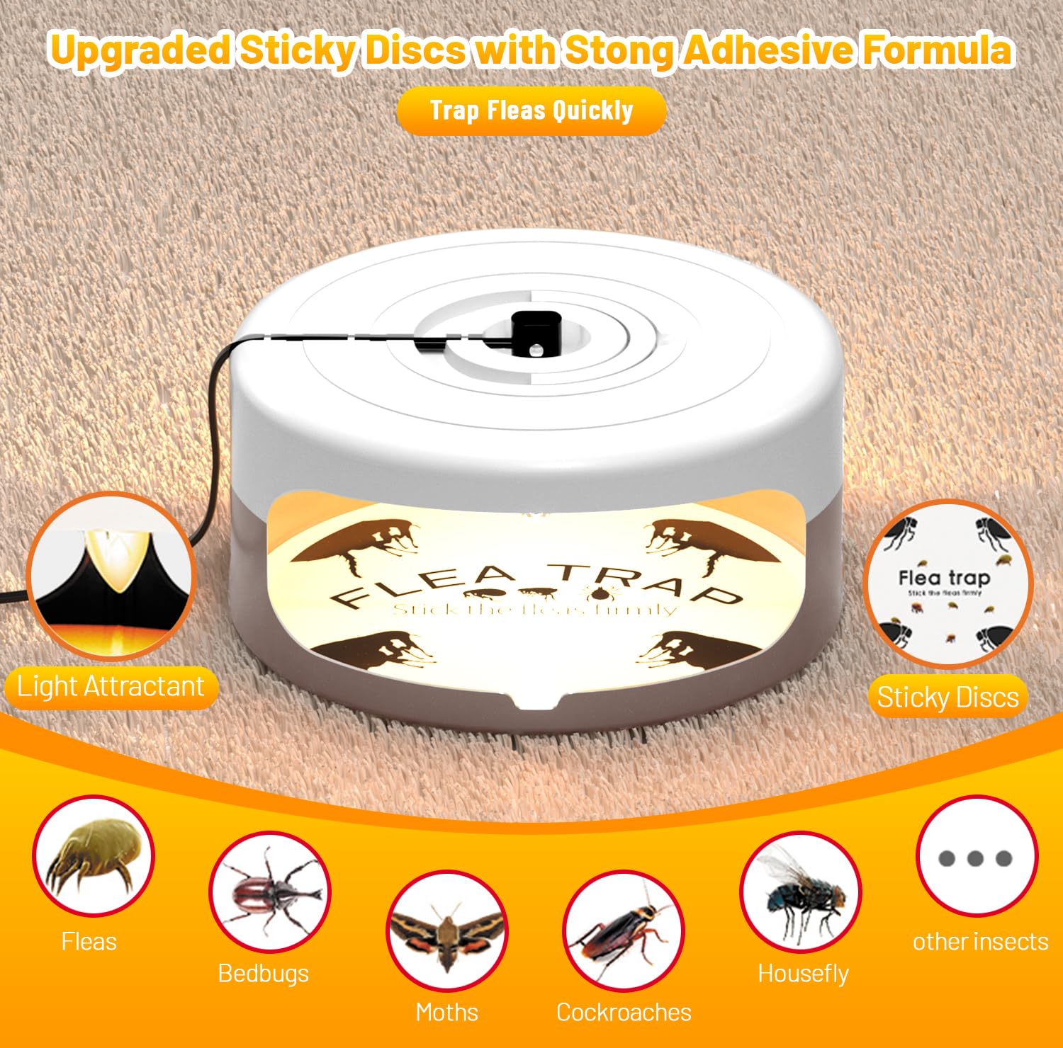 Outtkitywi dual-pack trap for covering multiple rooms.