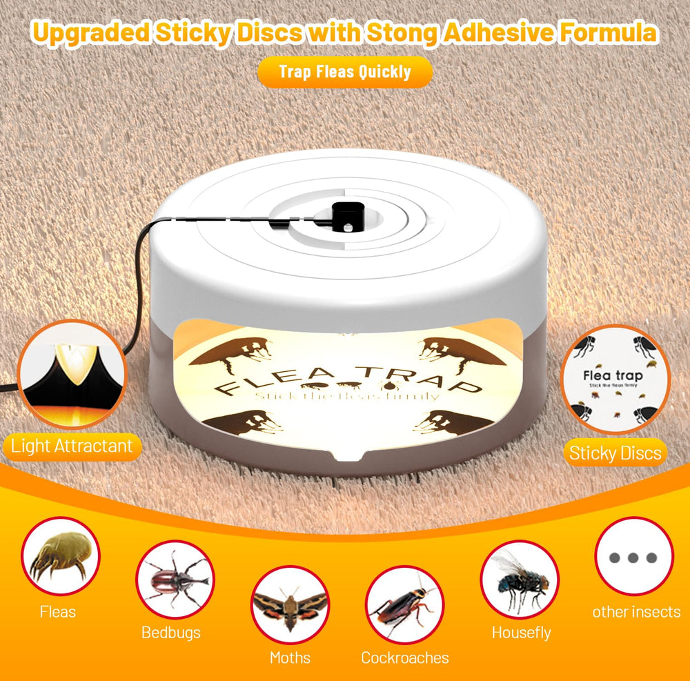 Outtkitywi dual-pack trap for covering multiple rooms.