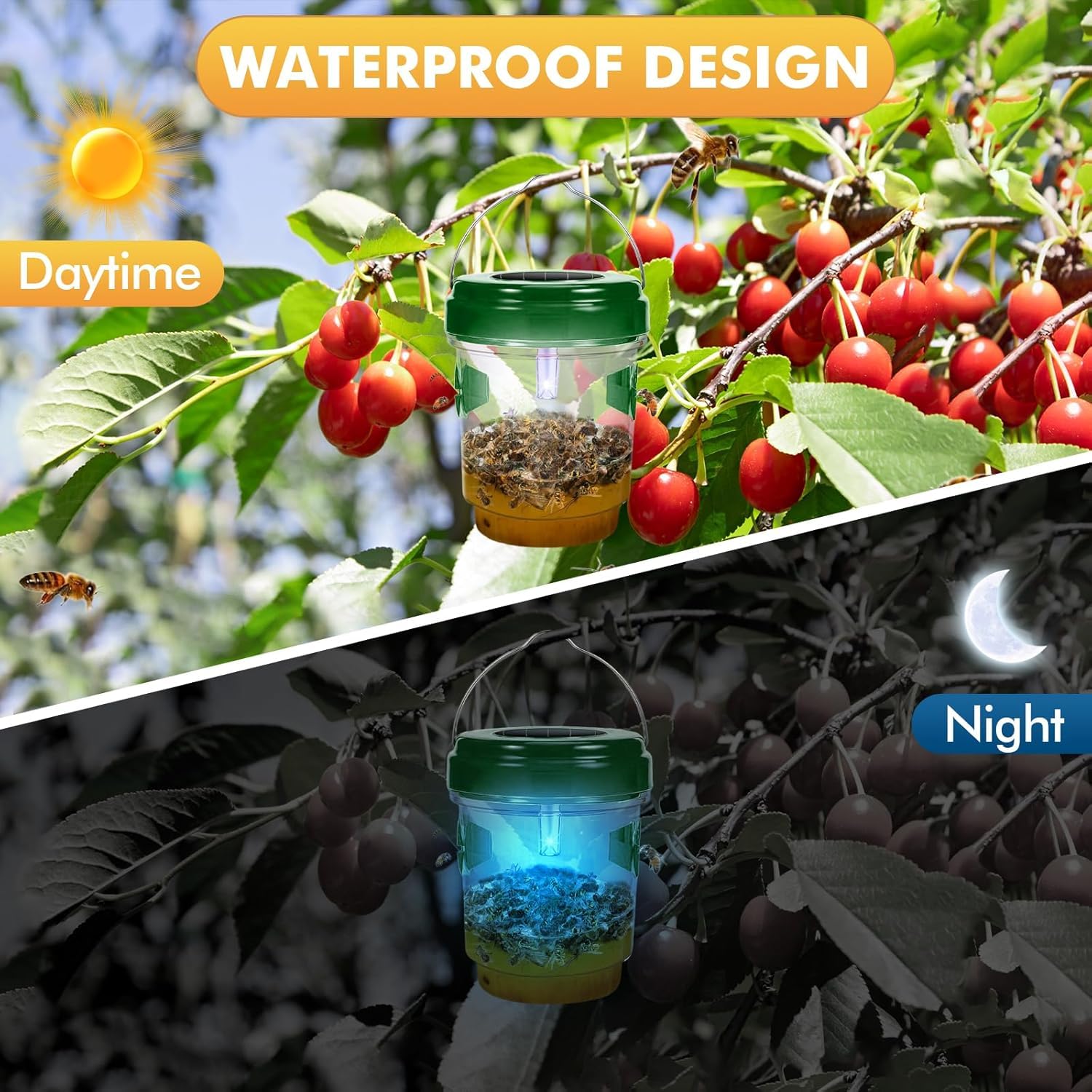 Outtkitywi sugar-water attraction lure supports effective pest control.