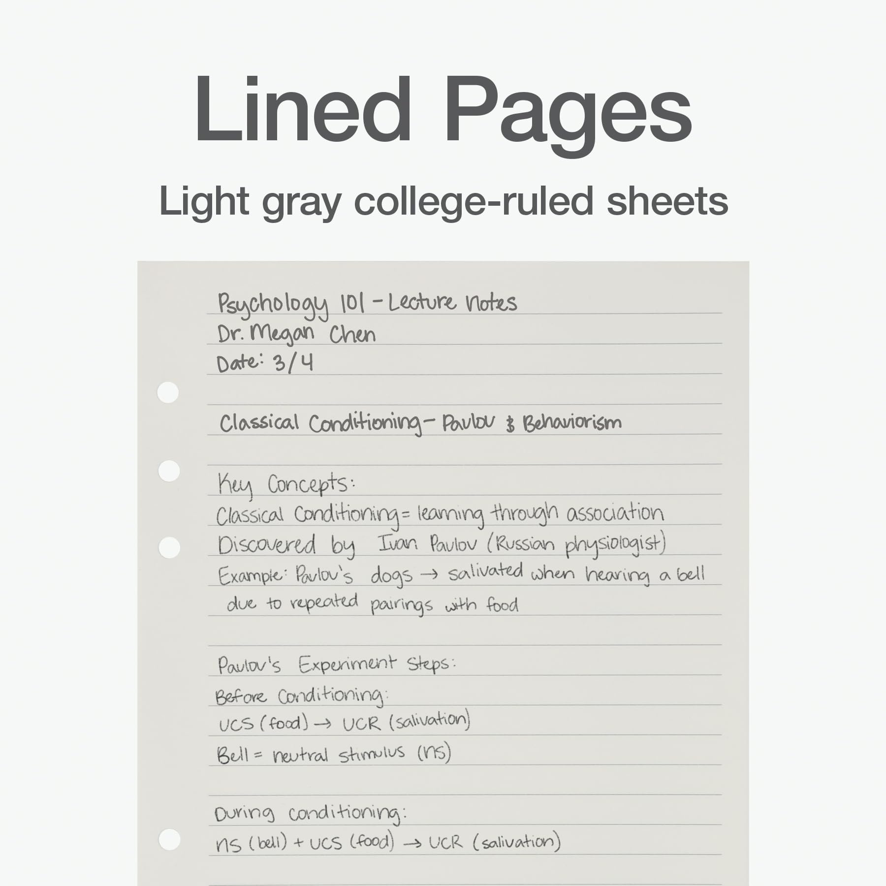Oxford pastel dividers with labeled tabs for organized sections.