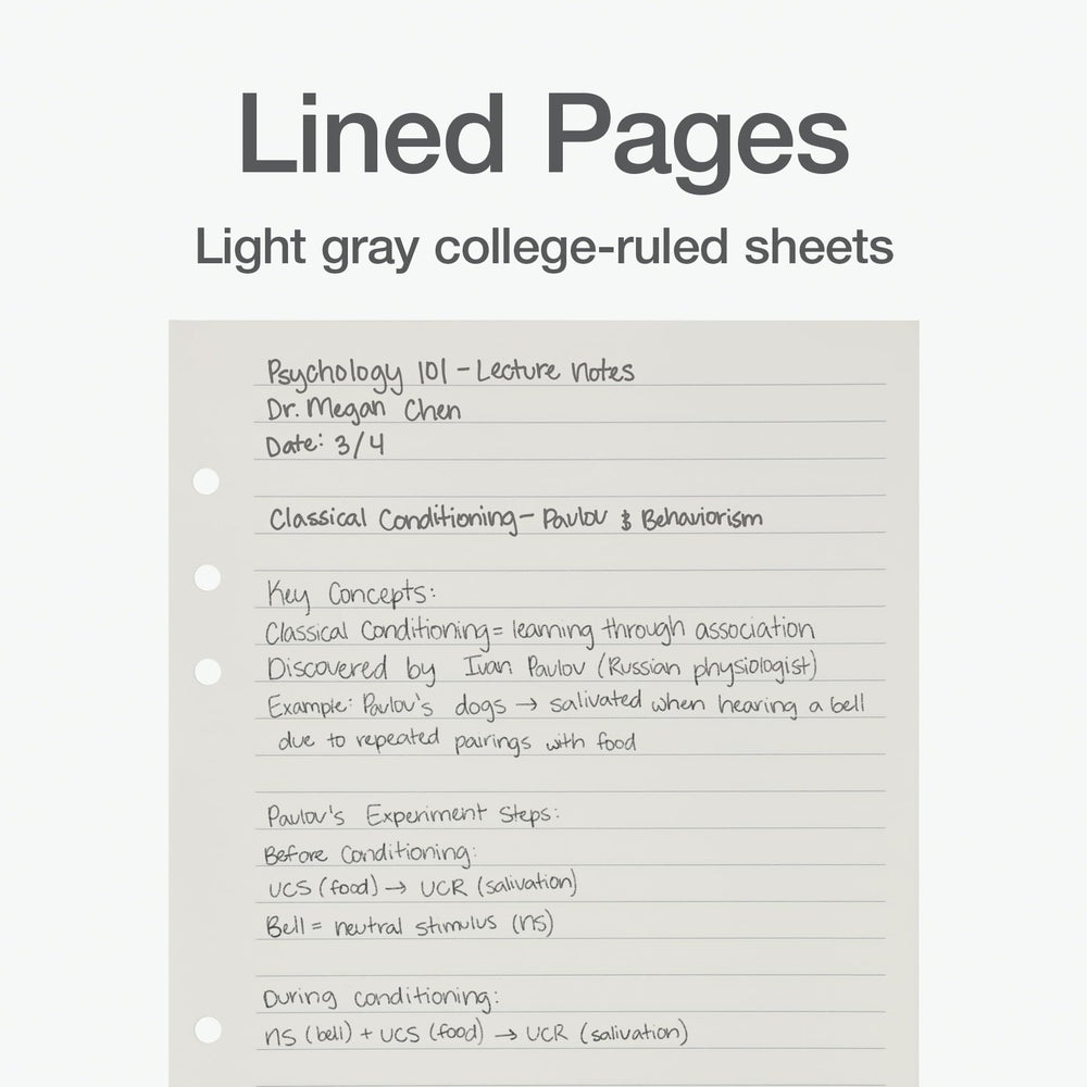 Oxford pastel dividers with labeled tabs for organized sections.