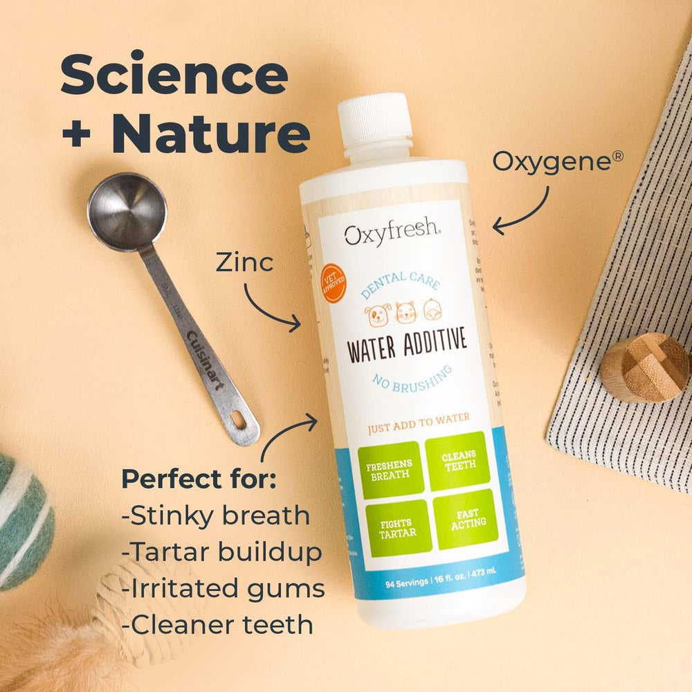 Cat drinks water with odorless Oxyfresh additive.