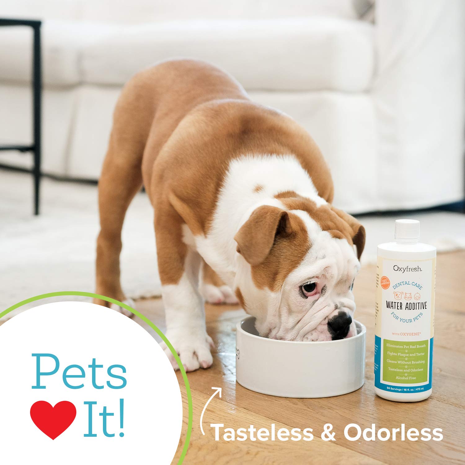 Oxyfresh additive in a cat bowl with a tasteless formula for dental support.