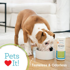 Oxyfresh additive in a cat bowl with a tasteless formula for dental support.