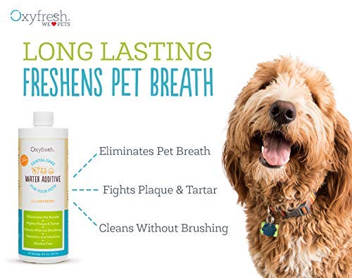 Oxyfresh dental water additive in a dog bowl promoting fresher breath.
