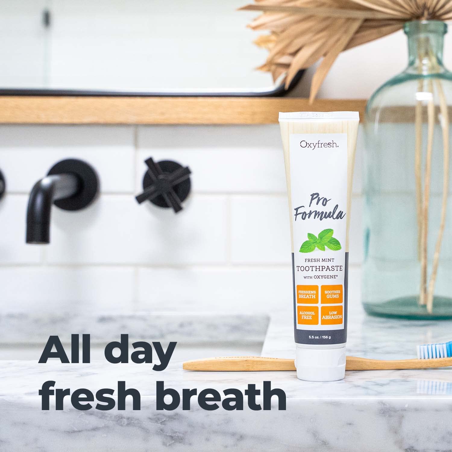 Ingredients list on Oxyfresh Pro Formula Fresh Mint toothpaste emphasizing natural essential oils