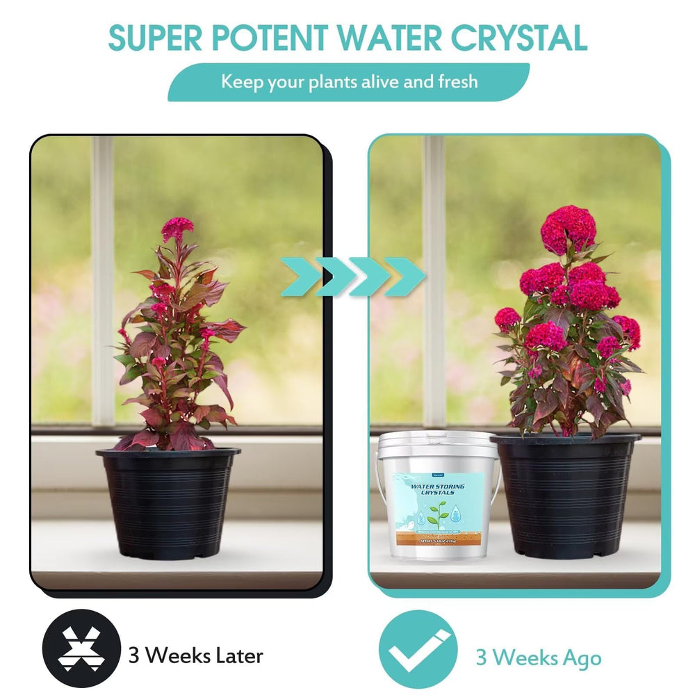 Oycevila crystals expanding in soil create micro-gaps for better aeration.