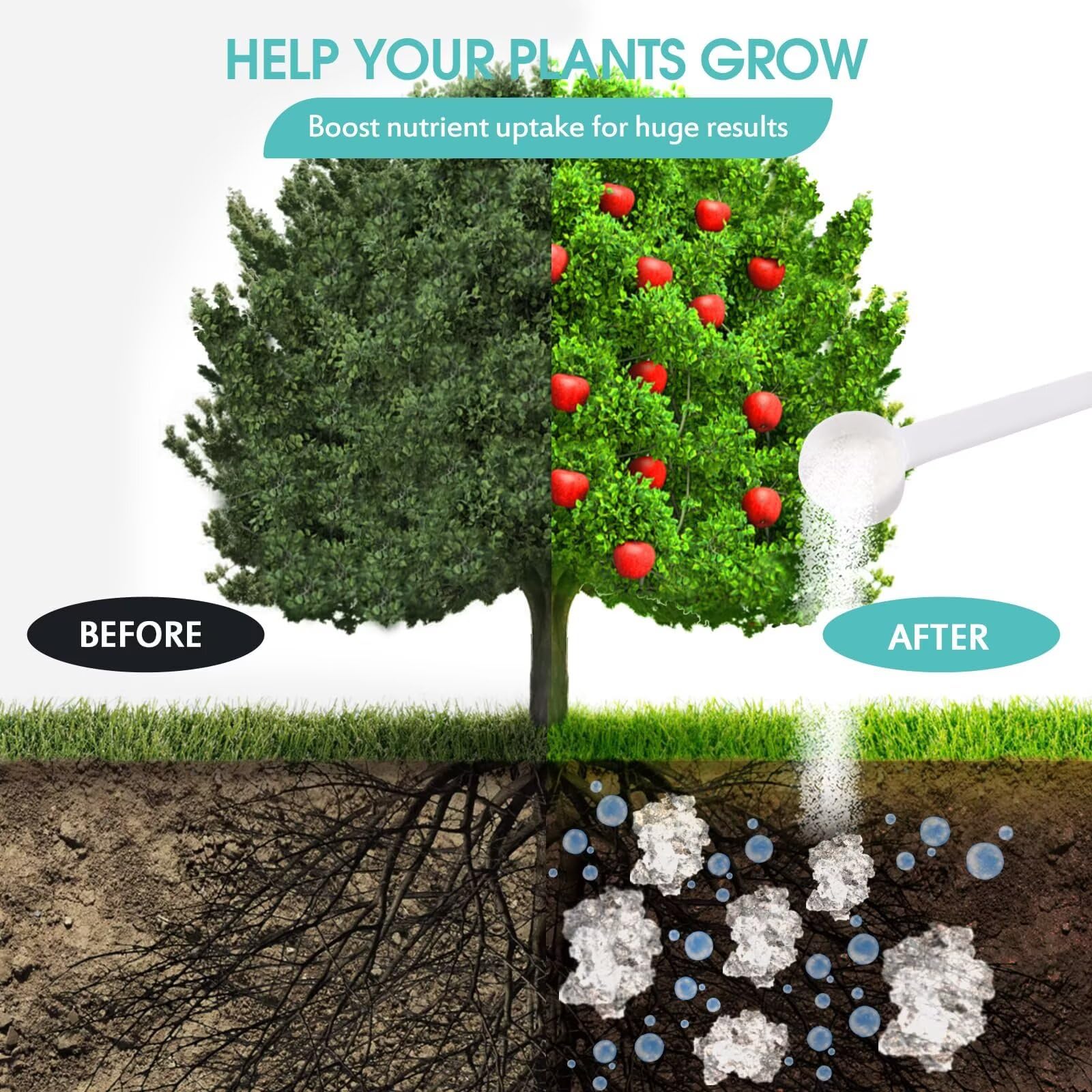 Oycevila water-storing crystals in pot soil support steady moisture for healthy roots.