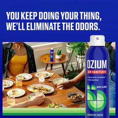 Country Fresh scent spray used in car to refresh interior quickly.