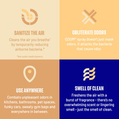 Ozium spray action mist demonstrates quick air refresh