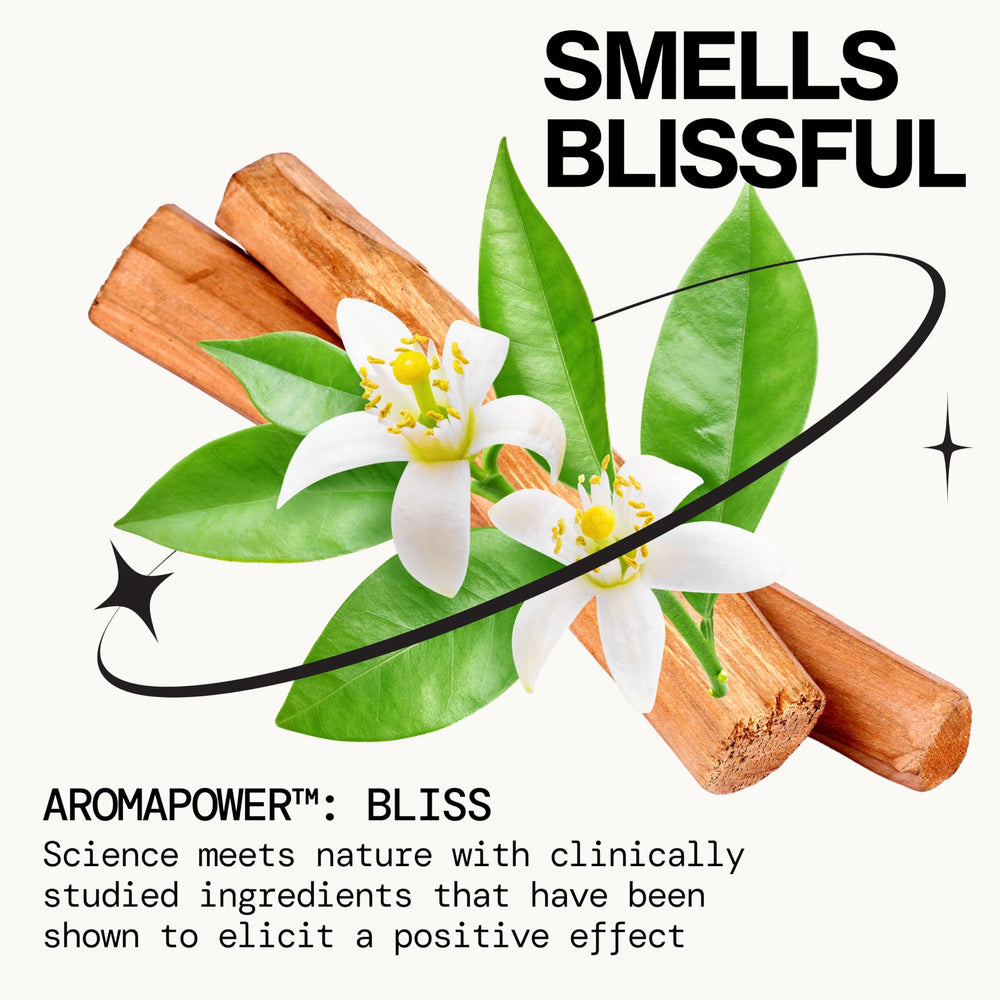 Orange flower accent visible in Beach Day scent.