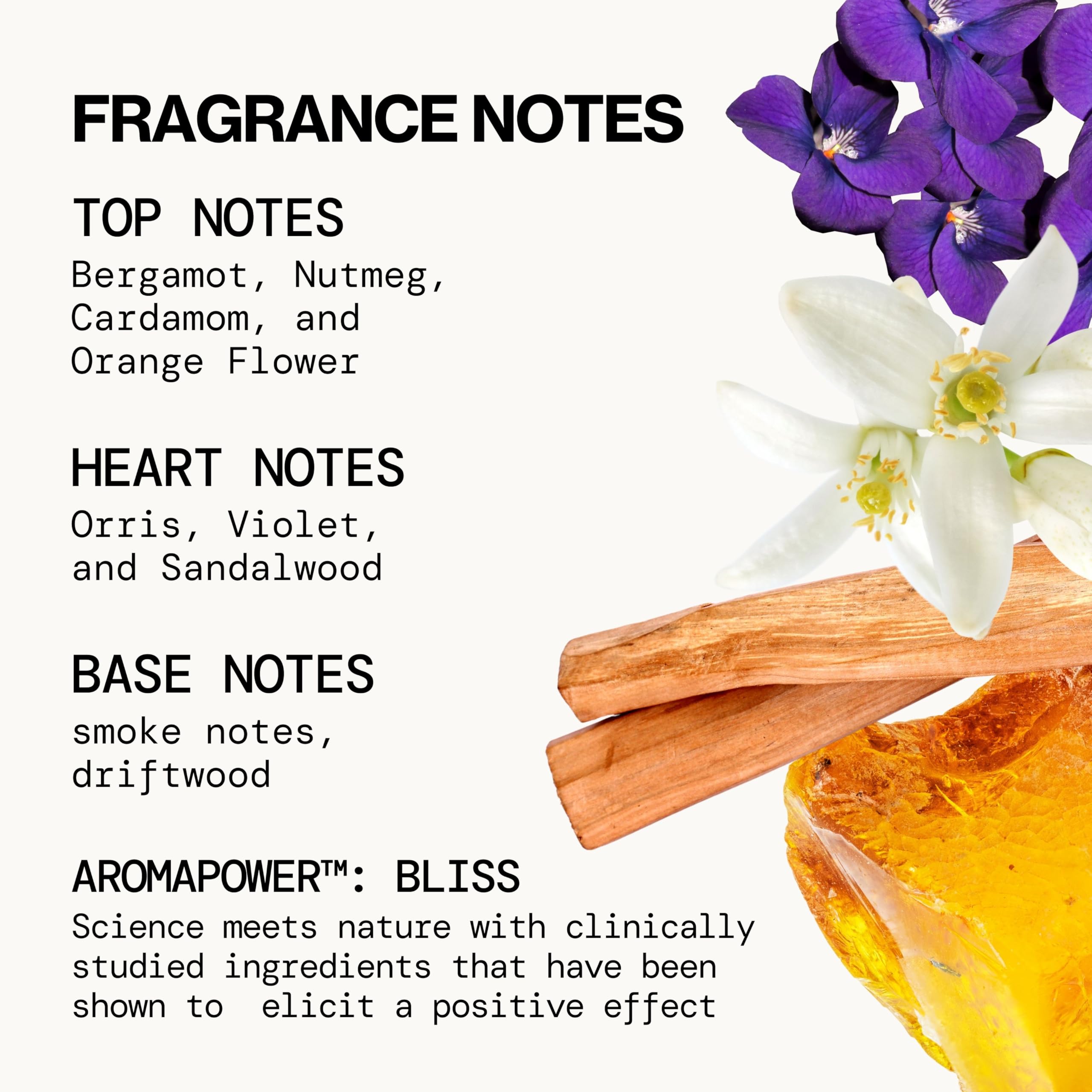 Smoky notes blending with amber in Beach Day fragrance.
