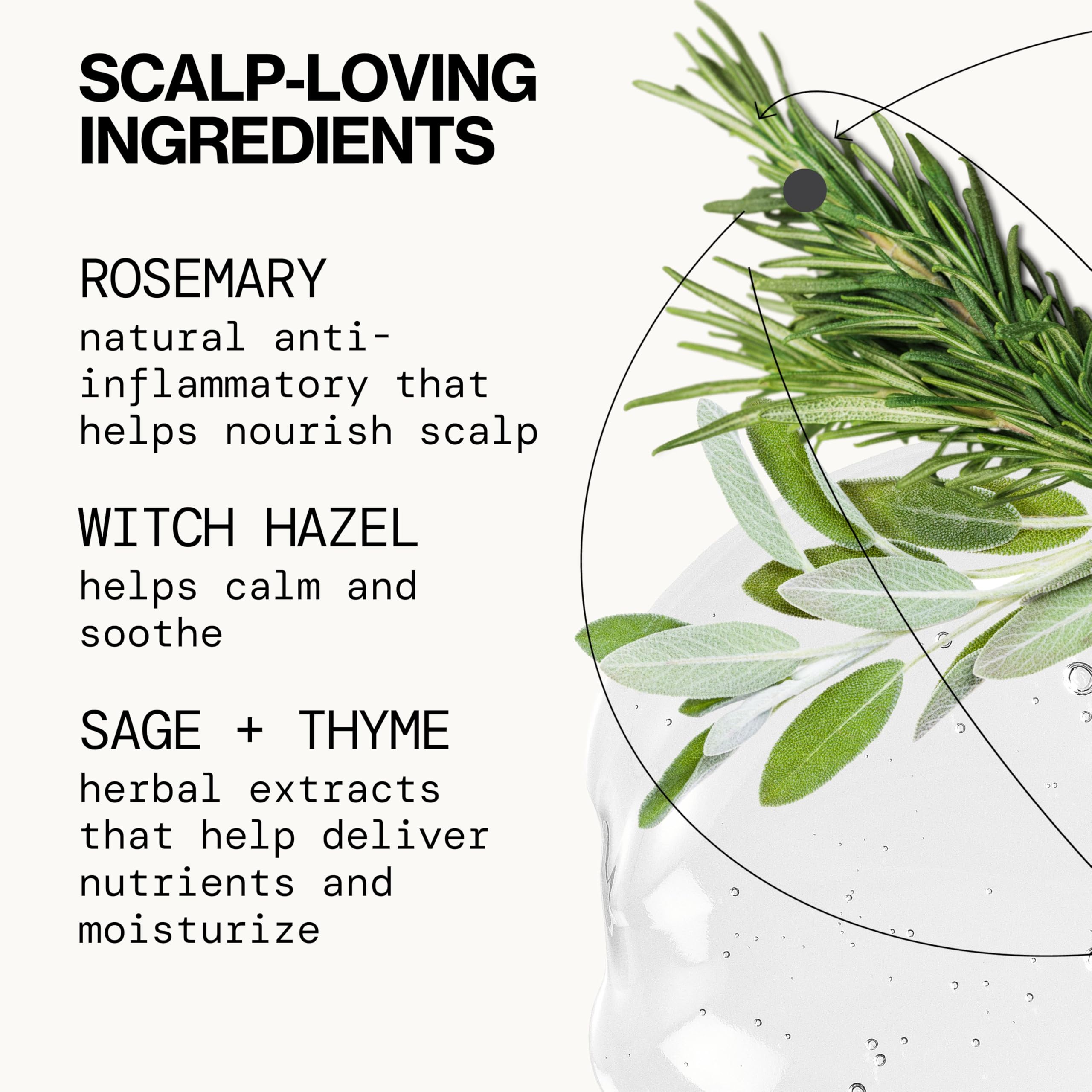 Pacifica ingredients highlight sage thyme and witch hazel for balance
