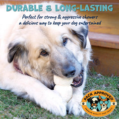 Pack Approved beef cheek rolls offer an odor-free, tasty treat for dogs.