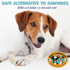 Pack Approved Mini Beef Cheek Rolls dog chew in action demonstrates satisfying, natural chewing.