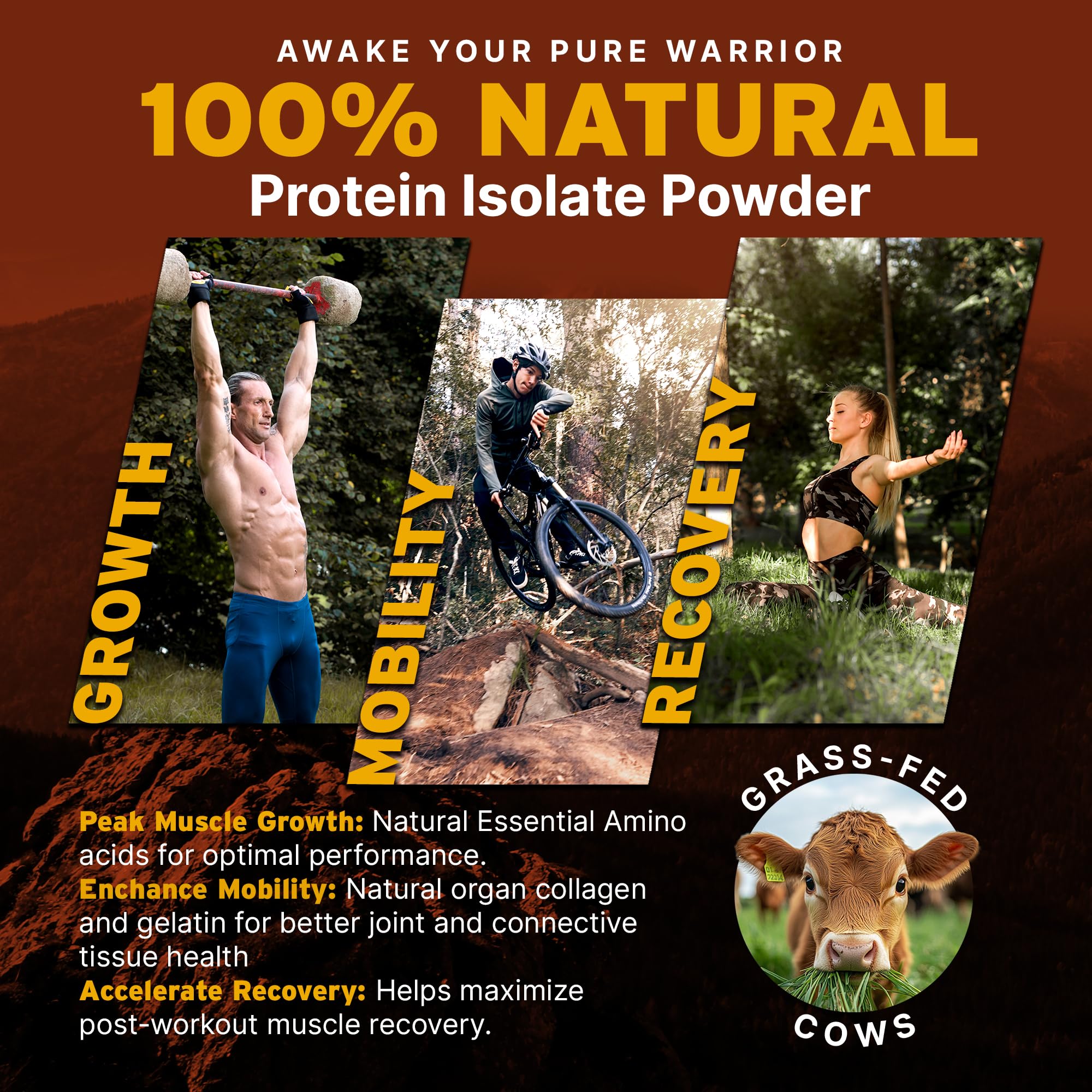 Paleo Pro Beef Protein Powder mixed with water for a quick protein shake.