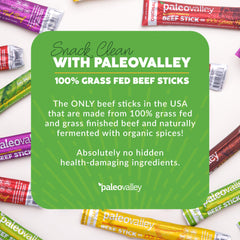Paleovalley beef sticks nutrition facts, highlighting protein and natural ingredients.