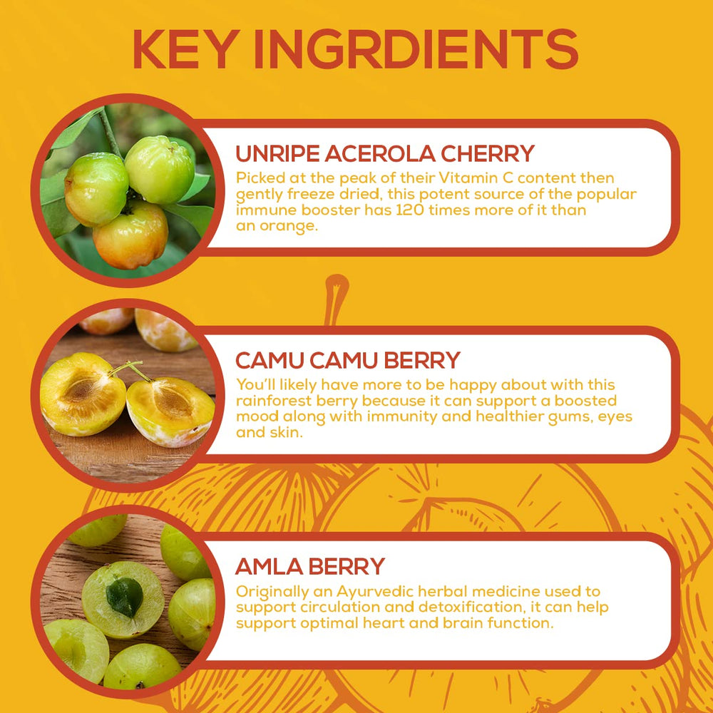 Paleovalley Essential C Complex label detail communicates quality and non-GMO ingredients.