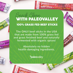 Paleovalley Fermented Beef Sticks close-up emphasizes probiotic-rich texture.