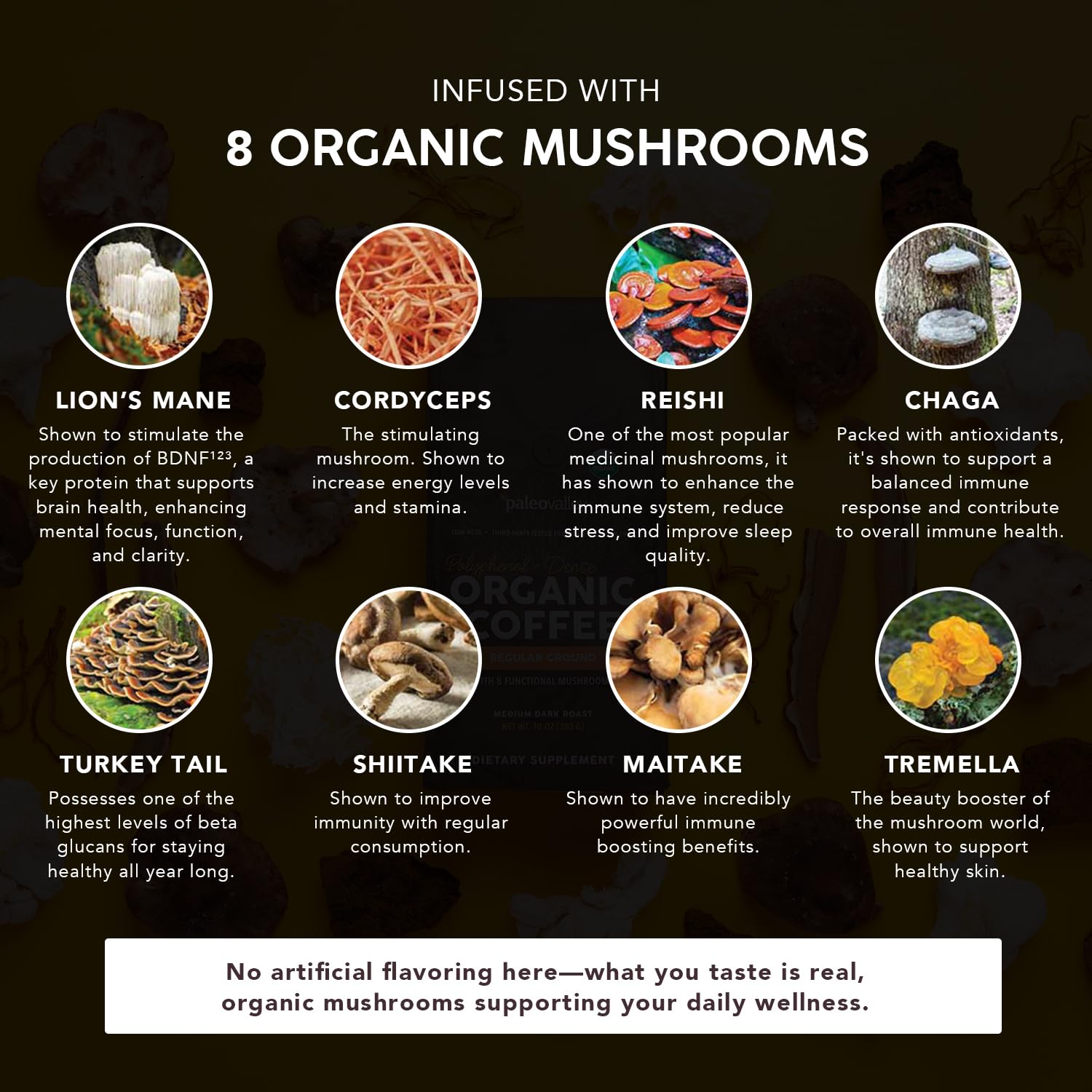 Paleovalley Organic Ground Coffee mushroom-infused blend enhances morning ritual.