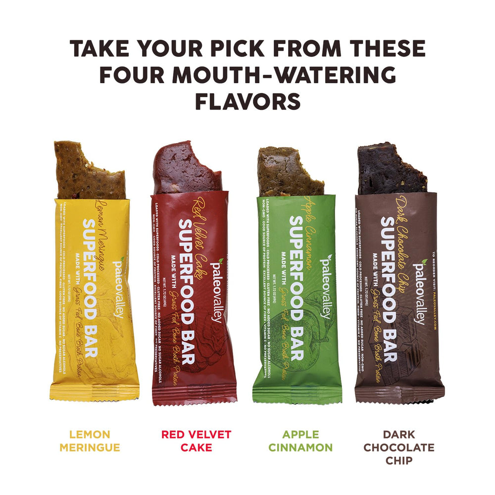Paleovalley Dark Chocolate Chip pack closeup showing packaging and portability.